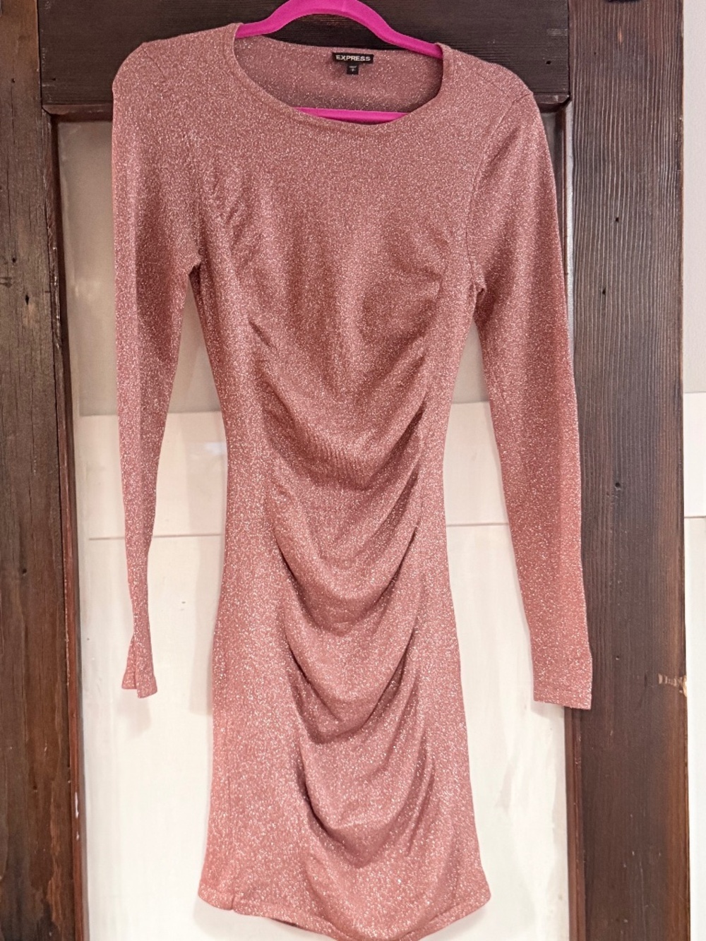Express Bodycon dress